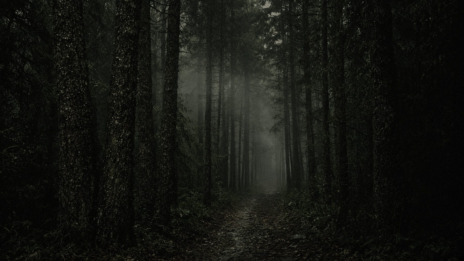 Dark Forest